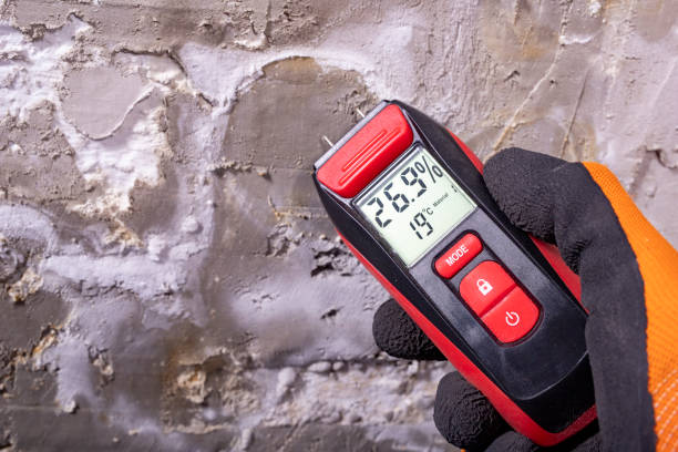  Montclair State University, NJ Mold Removal Pros